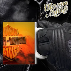 moto, bike, мото, мотоцикл